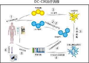 细胞免疫疗法