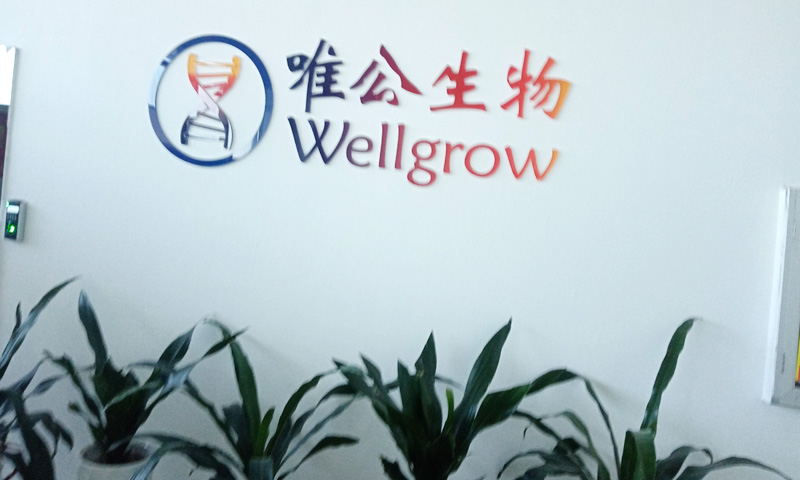 应用案例